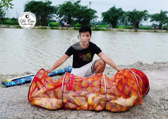 Tập Tính Cùa Loài Cá Chép