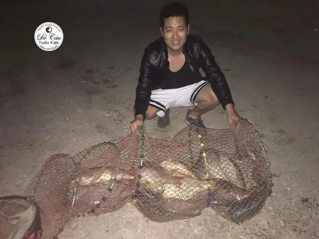 Mồi Câu Chép Hồ Dịch Vụ