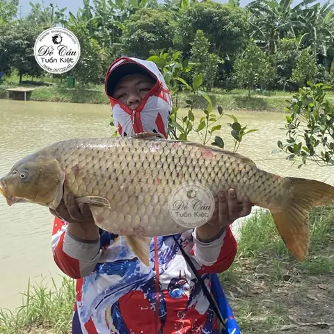 Mồi Câu Cá Chép Lưỡi Đơn