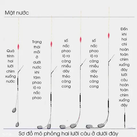 Hướng Dẫn Câu Cá Diếc Mùa Đông: Kỹ Thuật Tìm Đáy, Đánh Ổ Và Chọn Mồi Hiệu Quả