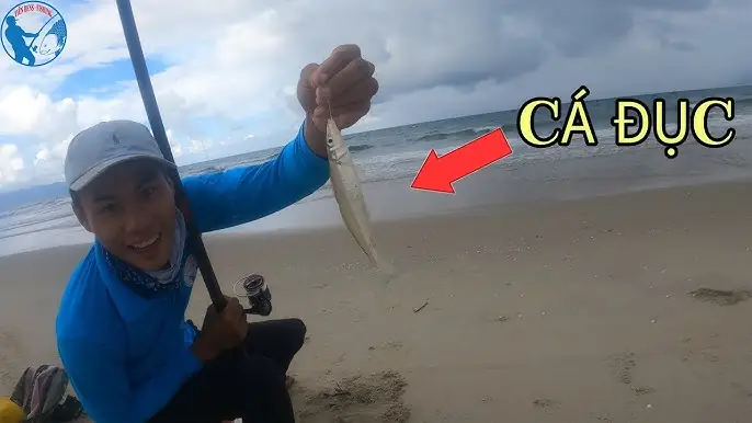 Hướng Dẫn Chi Tiết Cách Câu Cá Đục: Kỹ Thuật, Mồi Câu & Kinh Nghiệm Từ Chuyên Gia