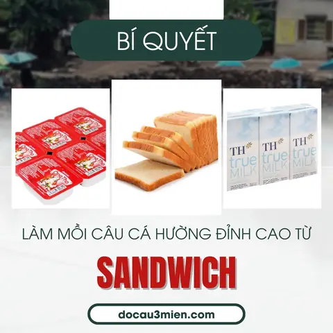 Bí Quyết Sử Dụng Sandwich Làm Mồi Câu Cá Hường Đỉnh Cao