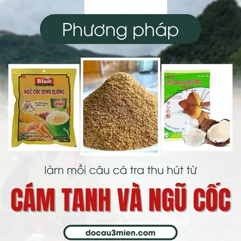 Phương Pháp Sử Dụng Cám Tanh Và Ngũ Cốc Làm Mồi Câu Cá Tra Thu Hút