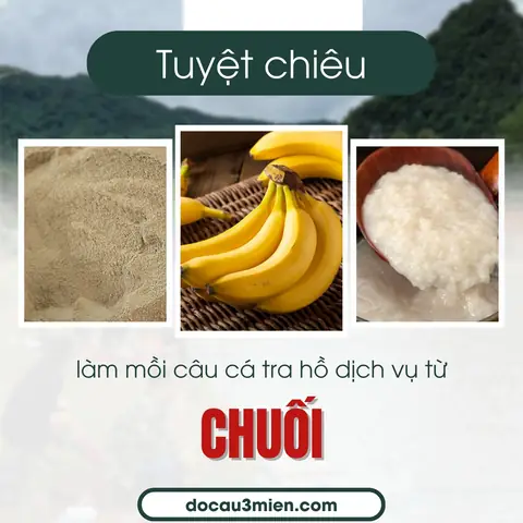Tuyệt Chiêu Làm Mồi Câu Cá Tra Hồ Dịch Vụ Từ Chuối