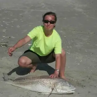 Cách Câu Cá Vược Hiệu Quả: Cẩm Nang Toàn Tập Cho Cần Thủ