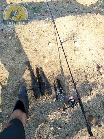 Cách Chọn Cần Câu Lure Cá Lóc Cho Người Mới Chơi