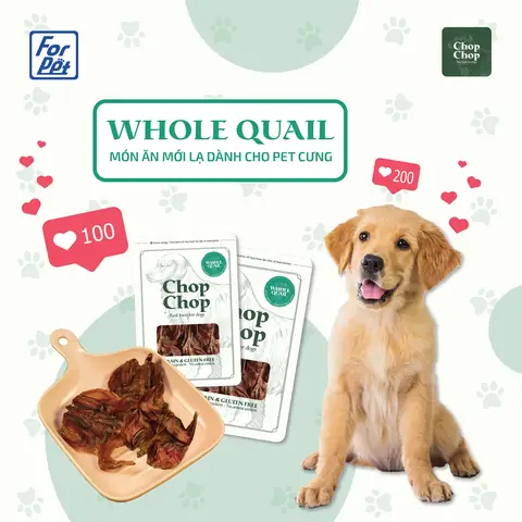 Thức Ăn Tươi Cho Chó Husky