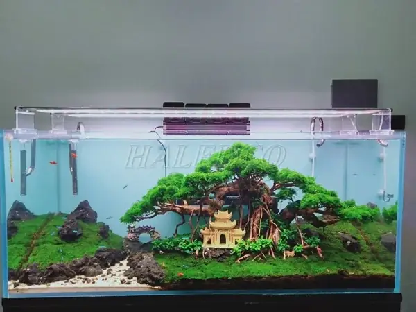 04 Bước Chế Đèn Thuỷ Sinh Wrgb 04 Bước Chế Đèn Thuỷ Sinh Wrgb