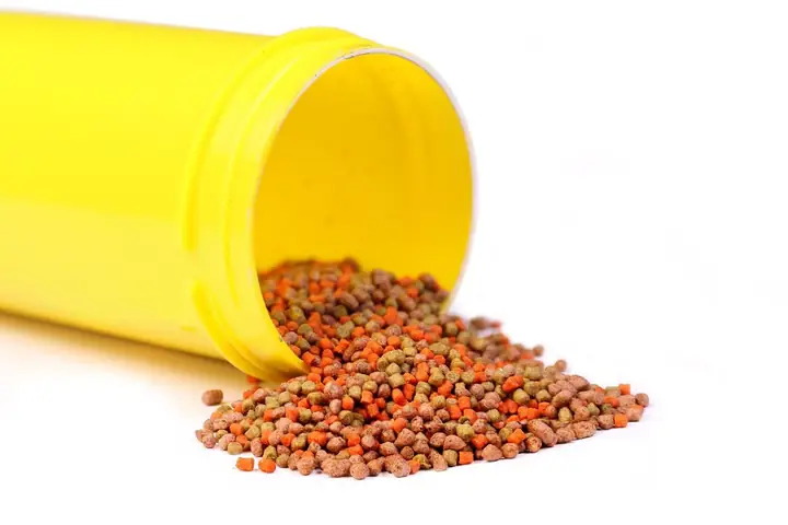 Lựa Chọn Thức Ăn Cá Cảnh Phù Hợp