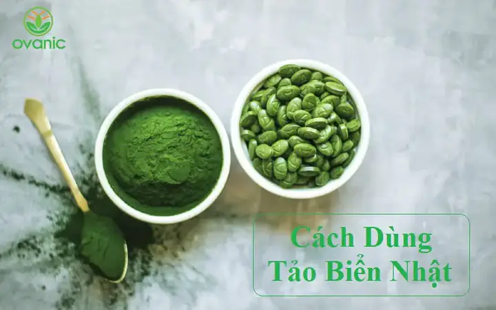 Hướng Dẫn Chi Tiết Cách Cho Cá Ăn Tảo Spirulina Để Tăng Màu Và Sức Khỏe