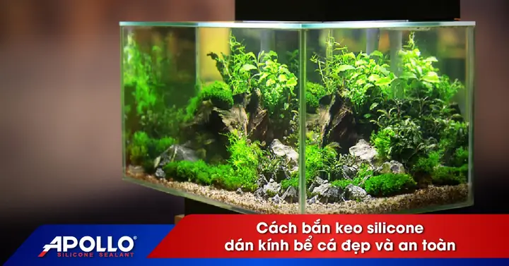 Cách Bắn Keo Silicon Dán Kính Bể Cá Đẹp Và An Toàn