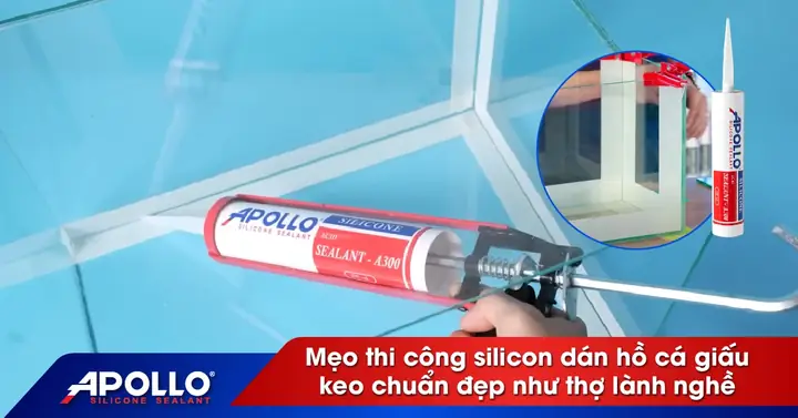 Mẹo Thi Công Silicon Dán Hồ Cá Giấu Keo Chuẩn Đẹp ...