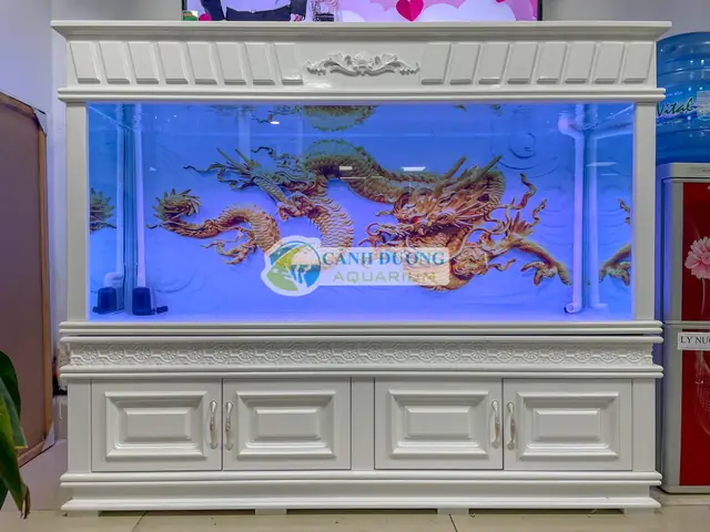 Ở Đâu Bán Phông Nền Bể Cá Chất Lượng Và Giá Tốt? Ở Đâu Bán Phông Nền Bể Cá Chất Lượng Và Giá Tốt?