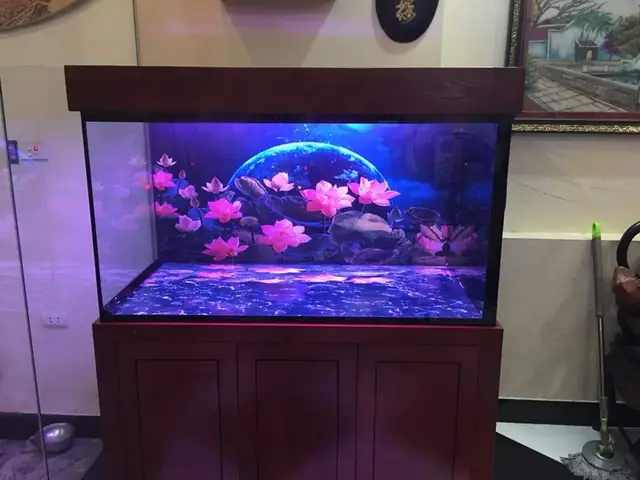 Ở Đâu Bán Phông Nền Bể Cá Chất Lượng Và Giá Tốt? Ở Đâu Bán Phông Nền Bể Cá Chất Lượng Và Giá Tốt?