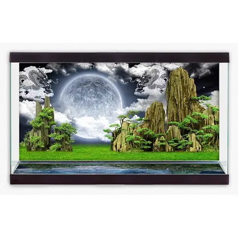 Ở Đâu Bán Phông Nền Bể Cá Chất Lượng Và Giá Tốt? Ở Đâu Bán Phông Nền Bể Cá Chất Lượng Và Giá Tốt?