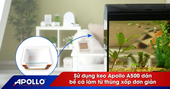 Sử Dụng Keo Silicon Dán Thùng Xốp Để Làm Bể Cá Cảnh ... Sử Dụng Keo Silicon Dán Thùng Xốp Để Làm Bể Cá Cảnh ...