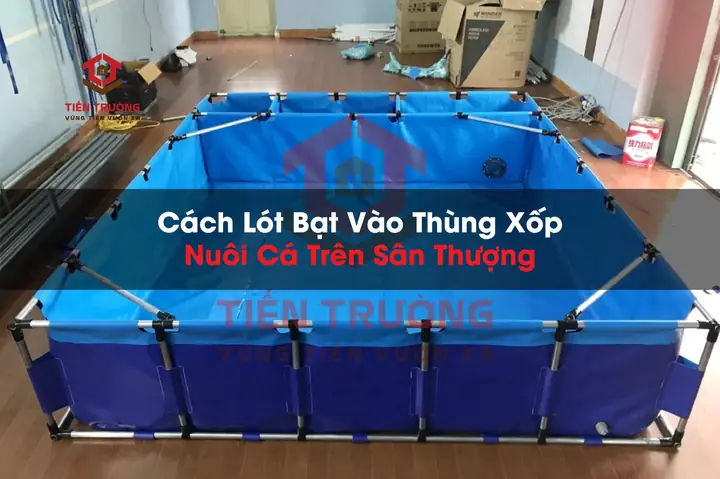 Cách Lót Bạt Xanh Cam Vào Thùng Xốp Nuôi Cá Trên Sân Thượng ... Cách Lót Bạt Xanh Cam Vào Thùng Xốp Nuôi Cá Trên Sân Thượng ...