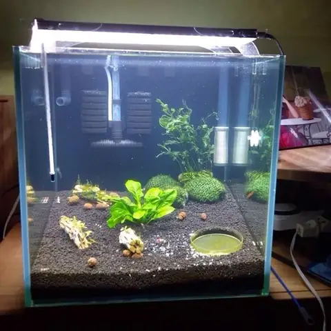 Bước 4: Kiểm Tra Ánh Sáng Và Điều Chỉnh