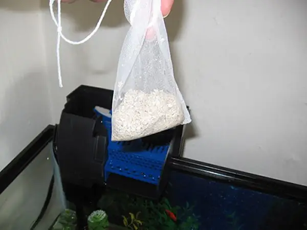 Thêm San Hô Đã Được Nghiền Nát Vào Hồ Cá Rồng