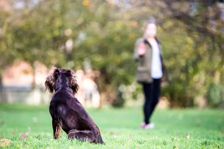 Bước 5: Thực Hành Mọi Lúc Mọi Nơi