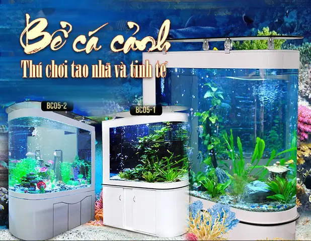 Bước 4: Cho Nước Đi Lên Bể Cá