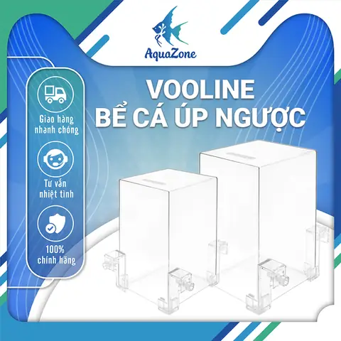 Bể Cá Úp Ngược, Hồ Cá Úp Ngược Trang Trí, Bể Cá Áp Suất Âm Box ...