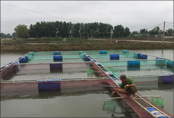 2hệ Thống Bè Nổi Nuôi Cá Bằng Thép