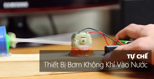 Cách Làm Bình Oxy Cho Cá Tự Chế Đơn Giản Tại Nhà