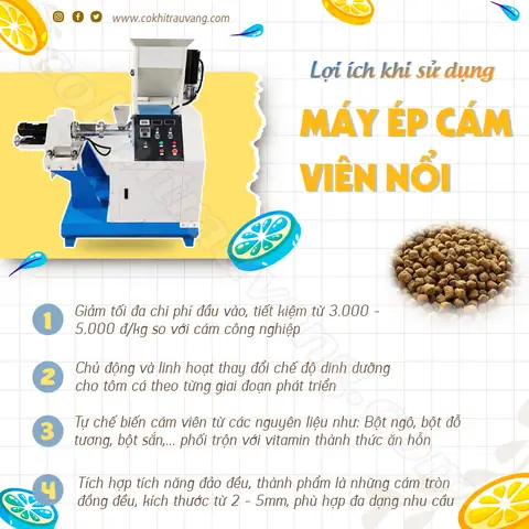 Quy Trình Làm Cám Viên Nổi Cho Cá