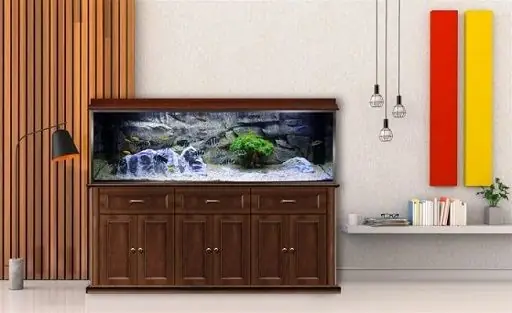 Chân Bể Cá Là Gì?