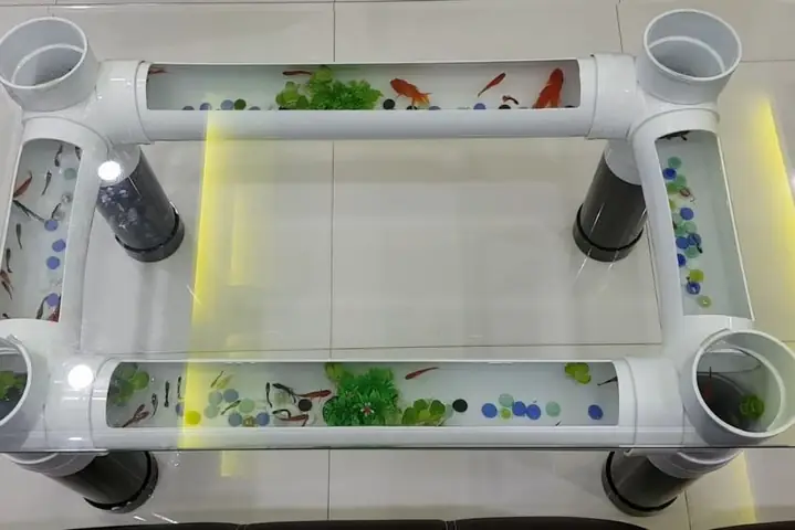 Cách Làm Chân Hồ Cá: Hướng Dẫn Chi Tiết Từ A Đến Z