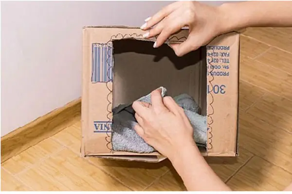 Bước 1: Vẽ Phác Thảo