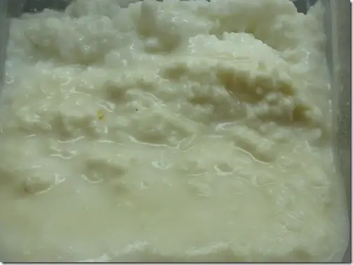 Cơm Mẻ – Thức Ăn Sạch Cho Cá Bột – Vườn Cây Phong Thủy