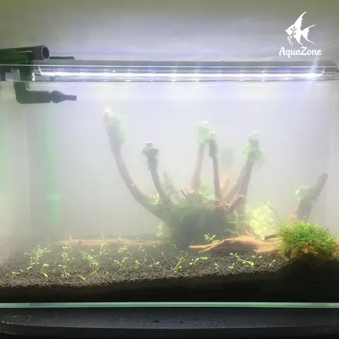 Hướng Dẫn Chi Tiết Cách Làm Đèn Hồ Cá Tại Nhà An Toàn Và Tiết Kiệm Hướng Dẫn Chi Tiết Cách Làm Đèn Hồ Cá Tại Nhà An Toàn Và Tiết Kiệm