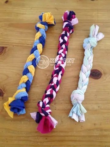 Cách Làm Đồ Chơi Cho Chó Bằng Dây Thừng Và Bóng Tennis Cách Làm Đồ Chơi Cho Chó Bằng Dây Thừng Và Bóng Tennis