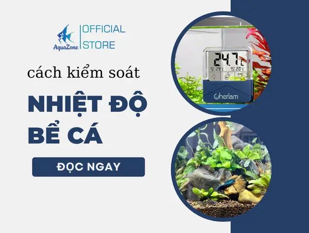 Cách Kiểm Soát Nhiệt Độ Trong Bể Cá Thủy Sinh - Aquazone - Siêu ... Cách Kiểm Soát Nhiệt Độ Trong Bể Cá Thủy Sinh - Aquazone - Siêu ...