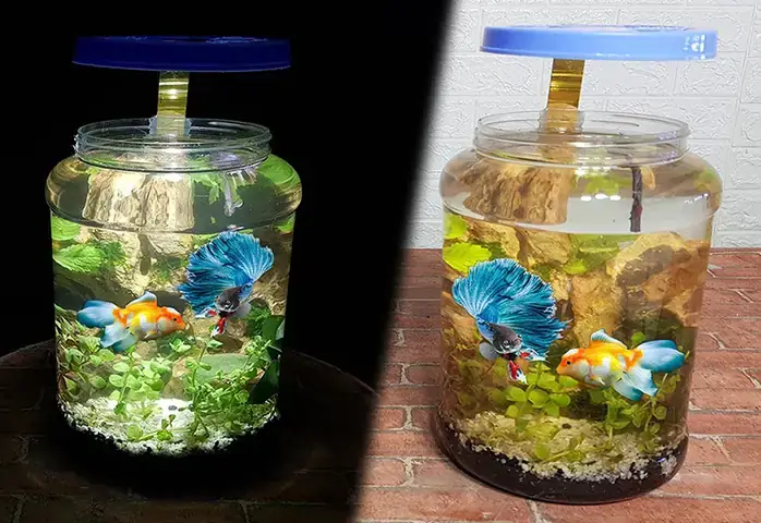 Lời Cảnh Báo Quan Trọng Trước Khi Bắt Đầu