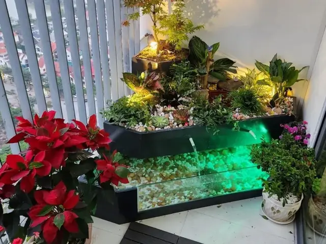 Hồ Cá Xi Măng Kết Hợp Kính