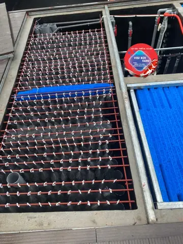 Bộ Phận Lọc Bộ Phận Lọc