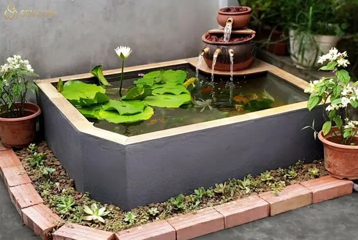 Cách Làm Hồ Cá Mini Ngoài Trời: Hướng Dẫn Toàn Tập Từ A Đến Z