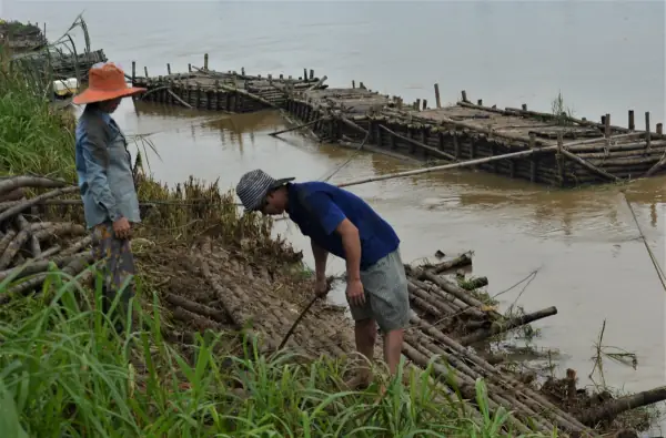 Cách Làm Lồng Nuôi Cá