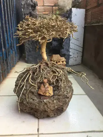 Lựa Chọn Lũa Phù Hợp Cho Bể Cá