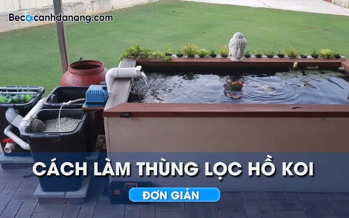 Hướng Dẫn Chi Tiết Cách Làm Ngăn Lắng Hồ Cá Hiệu Quả Tại Nhà