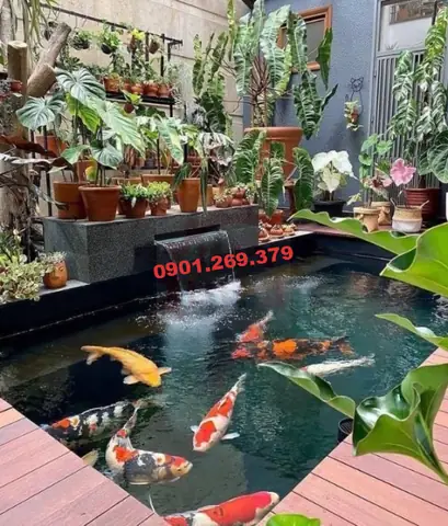 Máng Tạo Thác Nước Inox