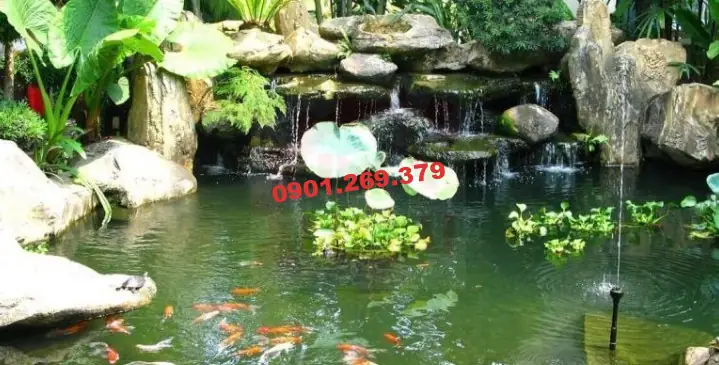 Các Loại Đá Để Xây Bể