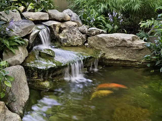 Hướng Dẫn Cách Làm Thác Nước Hồ Cá Koi Đúng Kỹ Thuật