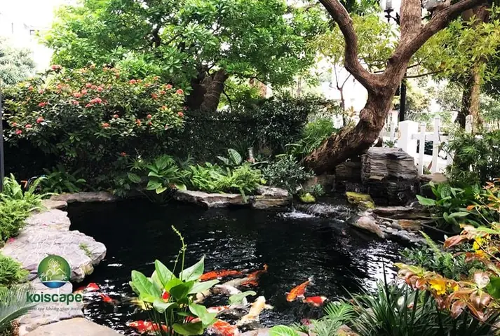 Sử Dụng Chất Liệu Nhân Tạo Cho Thác Nước Hồ Cá Koi