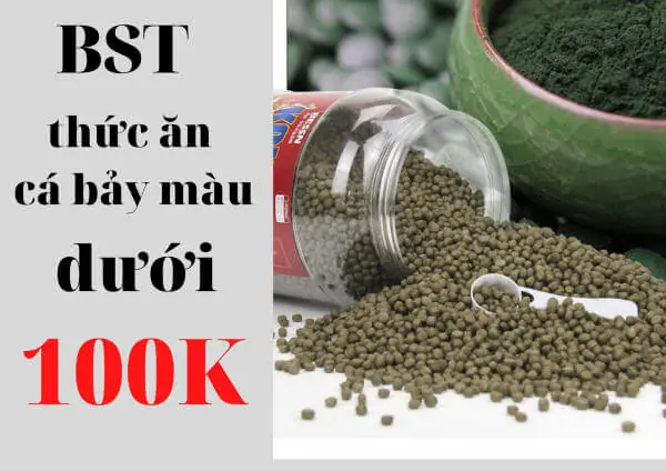 Cách Chế Biến Thức Ăn Tốt Nhất Cho Cá 7 Màu Ở Dạng Mảnh Ngon-bổ-rẻ Tại Nhà