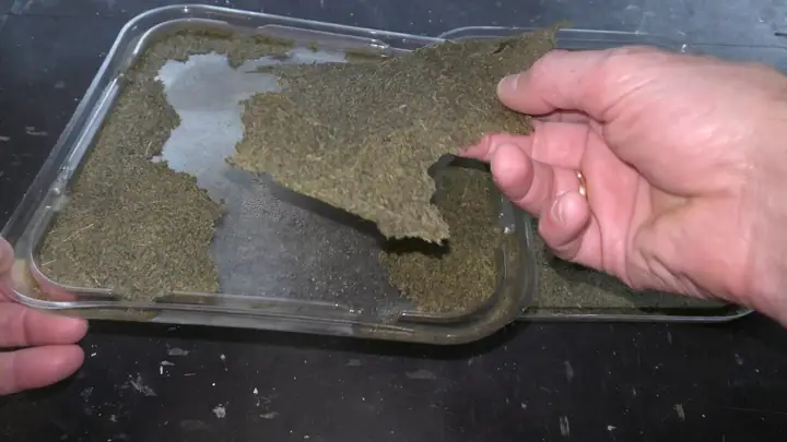 Cách Chế Biến Thức Ăn Tốt Nhất Cho Cá 7 Màu Ở Dạng Mảnh Ngon-bổ-rẻ Tại Nhà