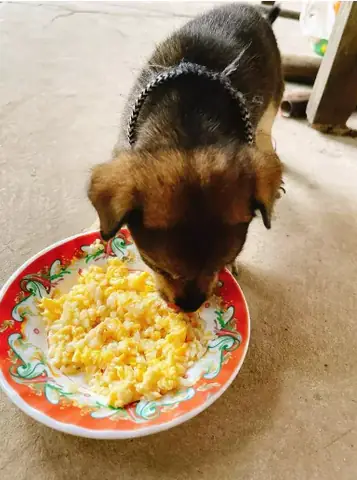 Nguyên Liệu Chuẩn Bị